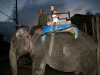 elephant-ride.jpg